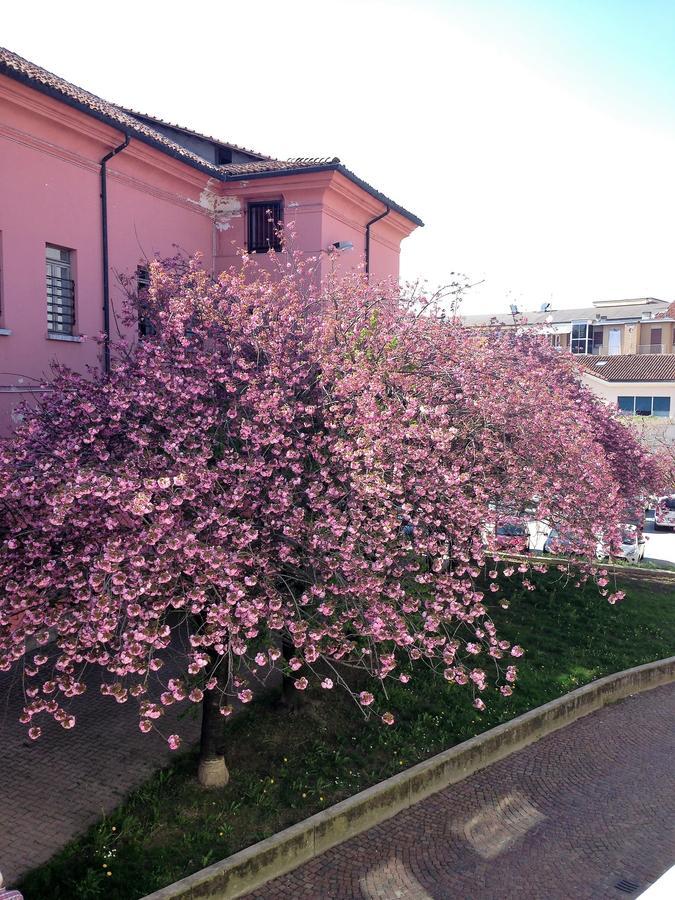 مبيت وإفطار ألبا Casa Agnese المظهر الخارجي الصورة